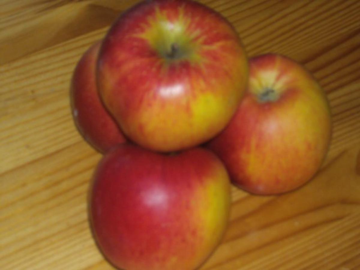 Beilage / Obst u. Gemüse: Apfel - Chicoree - Gratin - Rezept - Bild Nr. 3