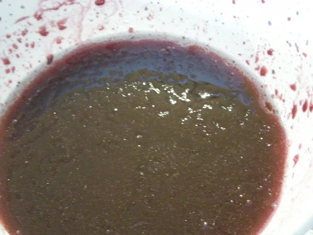 Rezept: Apfel - Möhren Salat mit Holundersaft Dressing Bild Nr. 3 Apfel - Möhren Salat mit Holundersaft Dressing - Rezept - Bild Nr. 3