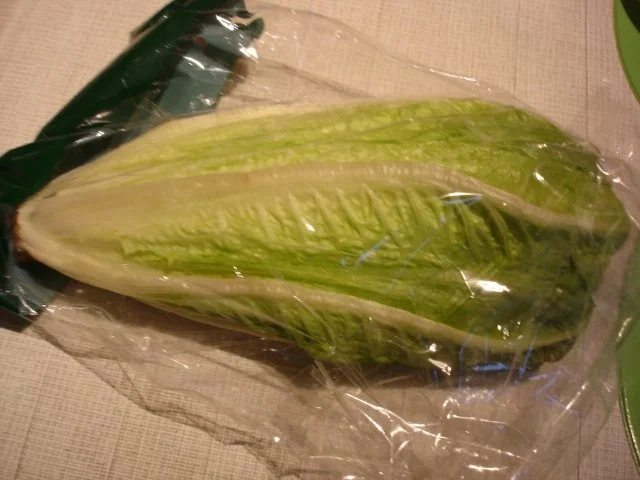 Schnelle Spaghettini-Bolognese mit Romanasalat - Rezept - Bild Nr. 19