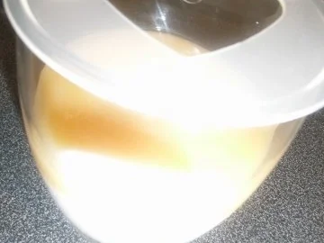 Rezept: BiNe` S WINTERLICHES APFELDESSERT Bild Nr. 6 BiNe` S WINTERLICHES APFELDESSERT - Rezept - Bild Nr. 6