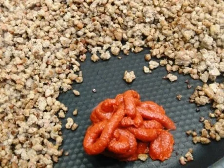 Wirsingrouladen auf seinem Gemüse gratiniert - Rezept - Bild Nr. 5