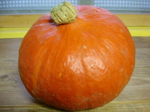 Kürbissuppe - Rezept - Bild Nr. 2