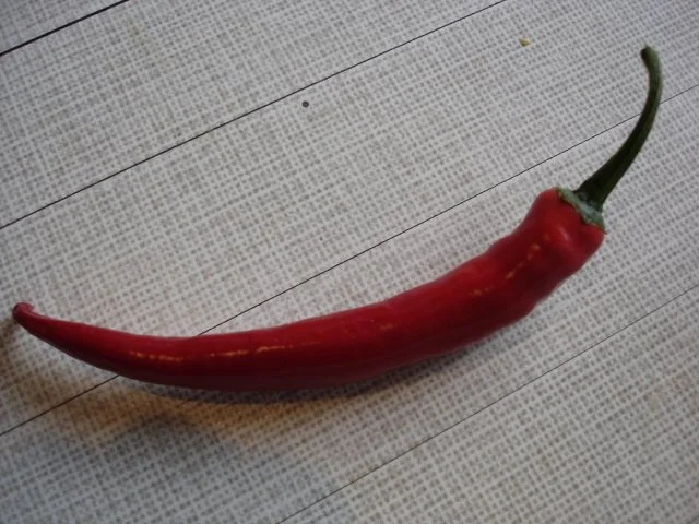 Lachs auf Porreeringen - Rezept - Bild Nr. 7