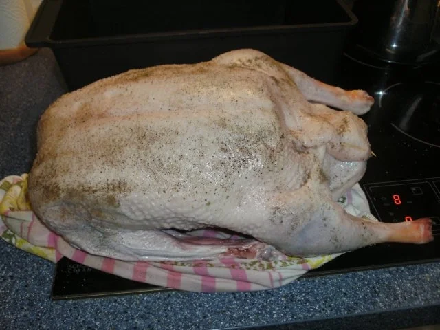 Gans - Rezept - Bild Nr. 2