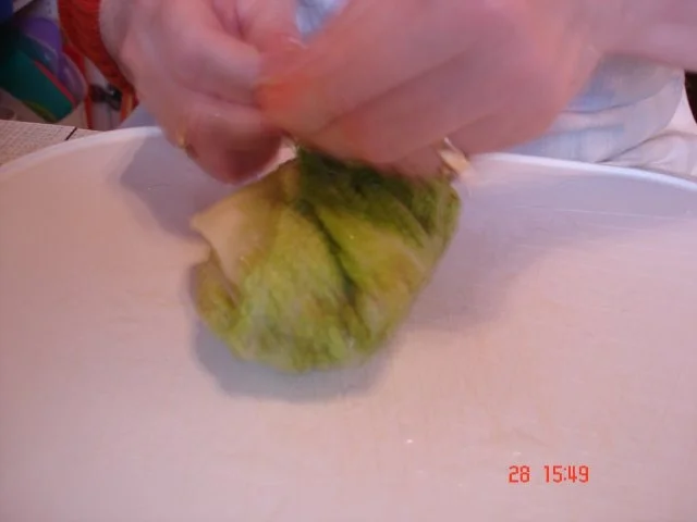Kohlrouladen - Rezept - Bild Nr. 29