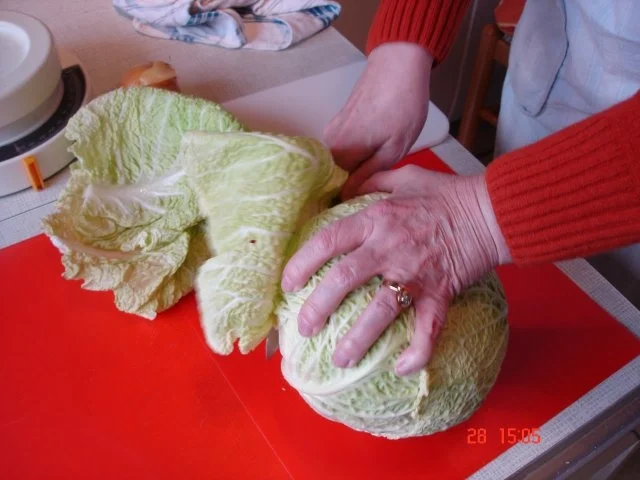 Kohlrouladen - Rezept - Bild Nr. 5