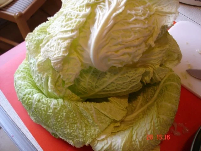 Kohlrouladen - Rezept - Bild Nr. 8