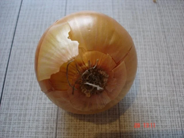 Kohlrouladen - Rezept - Bild Nr. 12