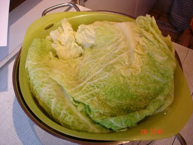 Kohlrouladen - Rezept - Bild Nr. 20