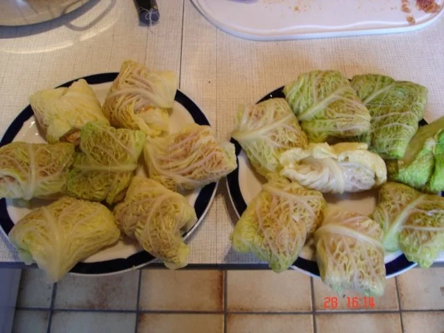 Kohlrouladen - Rezept - Bild Nr. 31