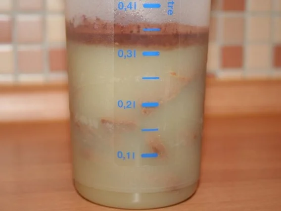 Rezept: Birnen-Nougat-Parfait Bild Nr. 6 Birnen-Nougat-Parfait - Rezept - Bild Nr. 6