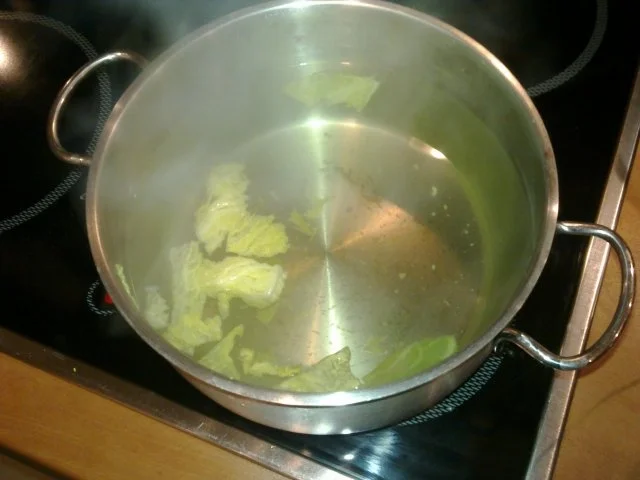 Barbarie Entenbrust auf Rahmwirsing - Aprikosengemüse - Rezept - Bild Nr. 4