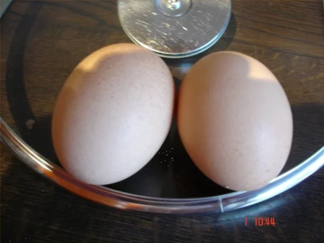 Rezept: Eierstich Bild Nr. 2 Eierstich - Rezept - Bild Nr. 2