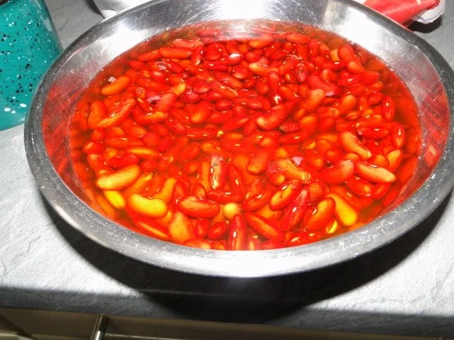 Rezept: Asiatisches Menü: Wachtelkeulen einmariniert Bild Nr. 7 Asiatisches Menü: Wachtelkeulen einmariniert - Rezept - Bild Nr. 7