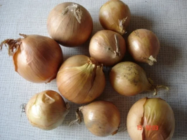 Rezept: Gulasch Bild Nr. 4 Gulasch - Rezept - Bild Nr. 4