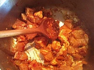 chicken Palak (indisch) - Rezept - Bild Nr. 3