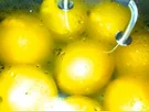 -Marmeladen und Gelees- Orangenmarmelade - Rezept