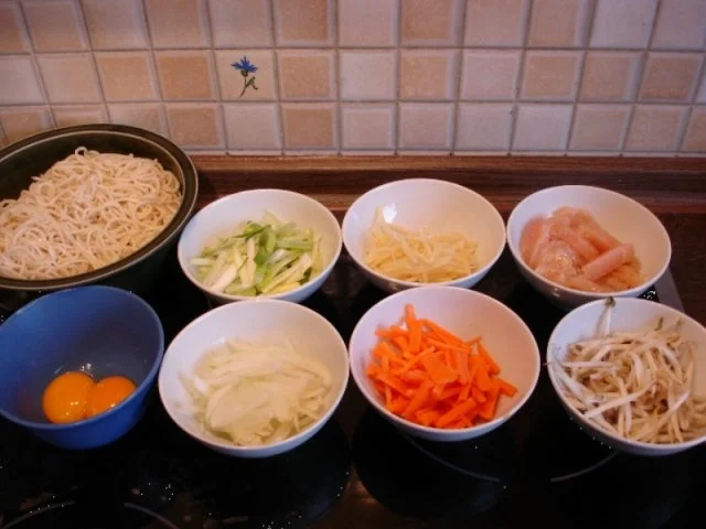 Chinesische Bratnudeln mit Ei, Hühnerfleisch und Gemüse - Rezept - Bild Nr. 3