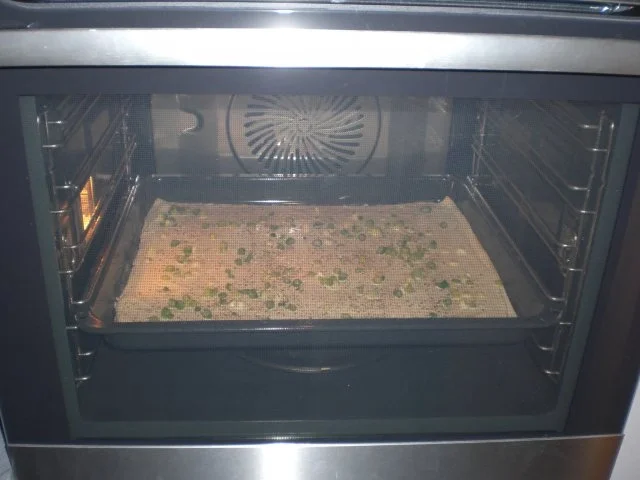 Rezept: Flammkuchen mit Räucherlachs Bild Nr. 7 Flammkuchen mit Räucherlachs - Rezept - Bild Nr. 7