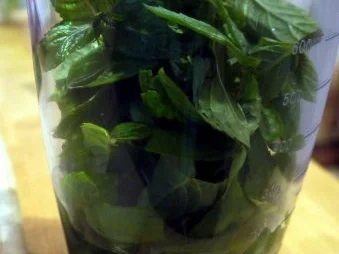 Sesam-Minz-Pesto - Rezept - Bild Nr. 3