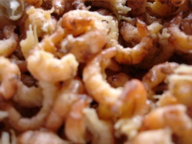 Krabbenbrötchen - Rezept - Bild Nr. 10