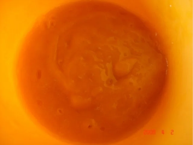 Rezept: Lachsfilet mit Frühlingszwiebeln Bild Nr. 5 Lachsfilet mit Frühlingszwiebeln - Rezept - Bild Nr. 5