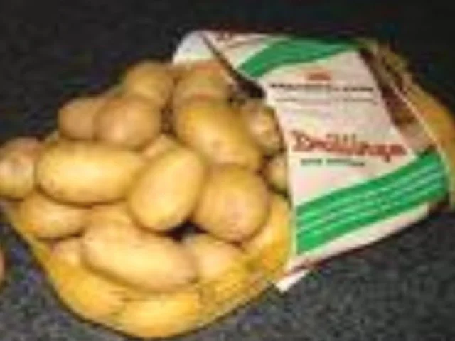 Matjesfilet mit grünen Bohnen und Salzkartoffeln *) - Rezept - Bild Nr. 2