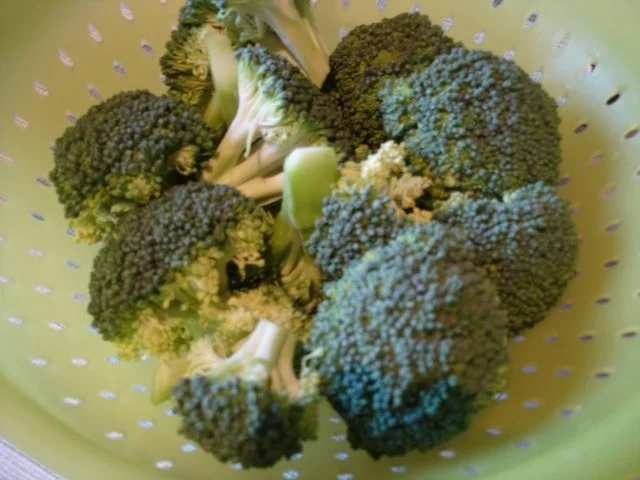 Rezept: Victoriasee-Barsch mit Broccoli und Kartoffeln Bild Nr. 15 Victoriasee-Barsch mit Broccoli und Kartoffeln - Rezept - Bild Nr. 15