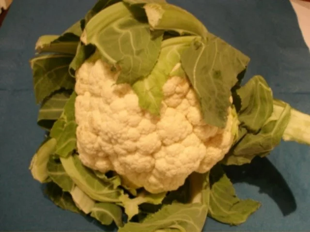 Pangasius Fischfilet mit Blumenkohl und Kartoffelbrei - Rezept - Bild Nr. 3