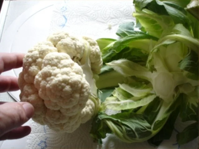 Pangasius Fischfilet mit Blumenkohl und Kartoffelbrei - Rezept - Bild Nr. 4