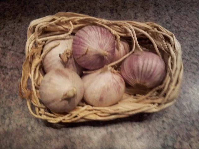 Rezept: Putenbrust-Gemüse-Pfanne Bild Nr. 14 Putenbrust-Gemüse-Pfanne - Rezept - Bild Nr. 14