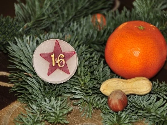 Adventskalender 16. Tag: frittiere Käsknöpfle (Käsespätzle) Taler - Rezept - Bild Nr. 2