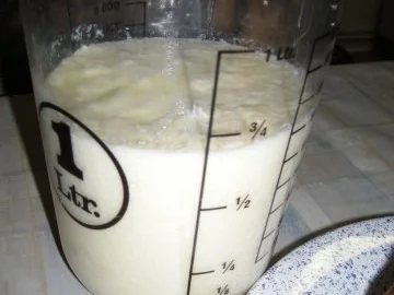 Rezept: Weißweinsoße zum Plum Pudding... Bild Nr. 2 Weißweinsoße zum Plum Pudding... - Rezept - Bild Nr. 2