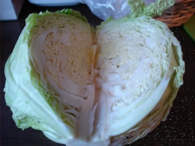 Chinesische Frühlingsrollen mit Wirsing - Rezept - Bild Nr. 4