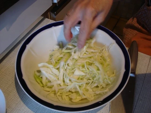 Frühlingsrollen mit Schweinefleisch und Gemüsefüllung - Rezept - Bild Nr. 4