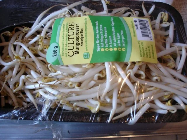 Frühlingsrollen mit Schweinefleisch und Gemüsefüllung - Rezept - Bild Nr. 3