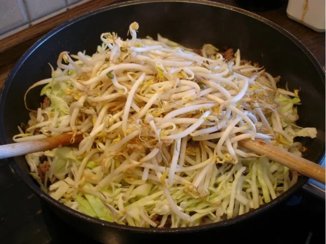 Frühlingsrollen mit Schweinefleisch und Gemüsefüllung - Rezept - Bild Nr. 5