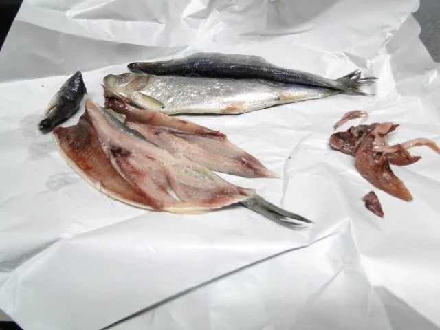 The Day after... Meine Salzheringe - Rezept - Bild Nr. 2