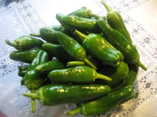 Pimientos de Padrón - Rezept - Bild Nr. 2