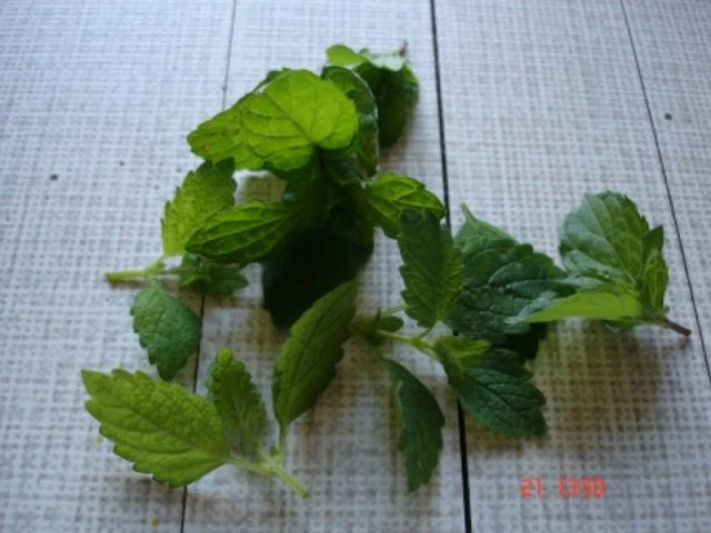 Mango-Lassi - Rezept - Bild Nr. 11