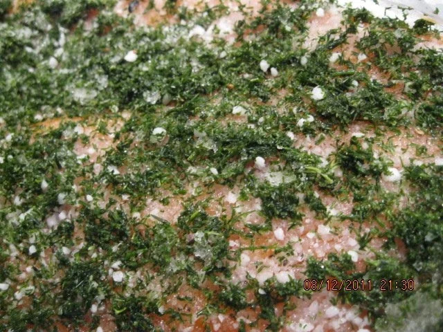 selbst gebeizter Lachs - Rezept - Bild Nr. 6