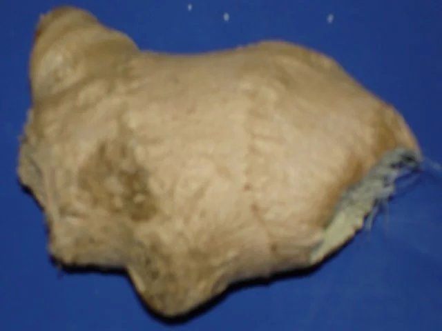 Rezept: Eiernudeln mit Koriander-Garnelen Bild Nr. 2 Eiernudeln mit Koriander-Garnelen - Rezept - Bild Nr. 2