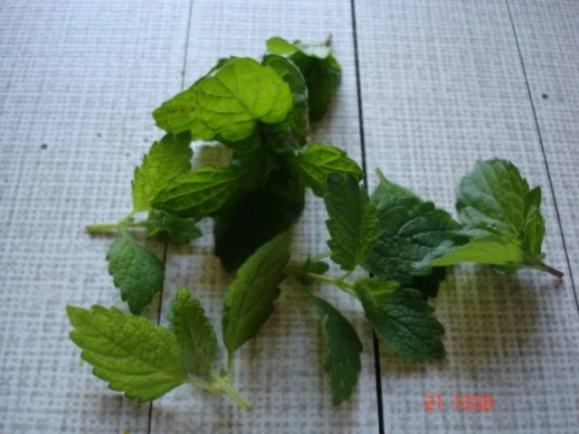 Rezept: Mango-Lassi Bild Nr. 6 Mango-Lassi - Rezept - Bild Nr. 6