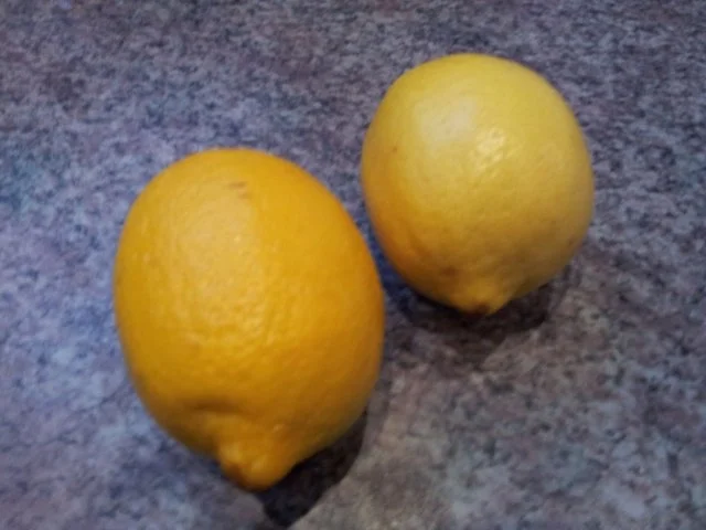 Rezept: Lachsforelle in Grillfolie "BerlinArt" Lachsforelle in Grillfolie "BerlinArt" - Rezept