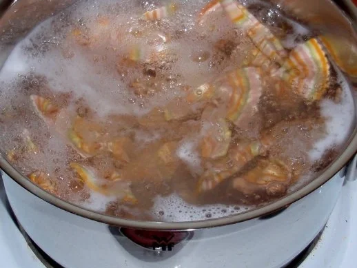 Farfalle mit Puten-Paprikastreifen - Rezept - Bild Nr. 3