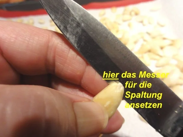 Kekse:   MANDELN, halbiert, gehackt, gestiftelt oder gemahlen - Rezept - Bild Nr. 6