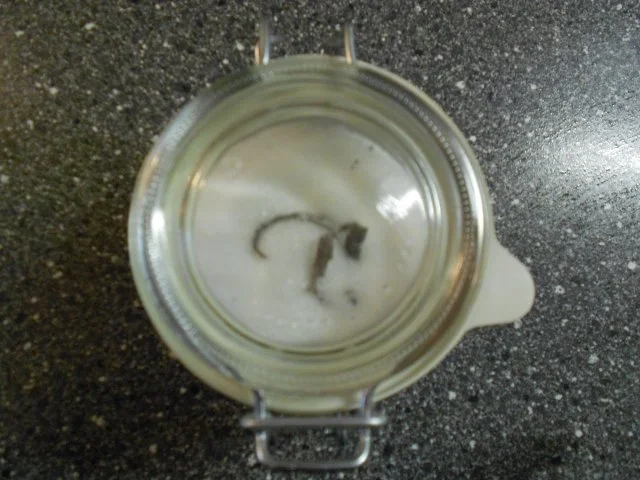 Rezept: Bourbon-Vanille-Zucker selbst gemacht Bild Nr. 6 Bourbon-Vanille-Zucker selbst gemacht - Rezept - Bild Nr. 6