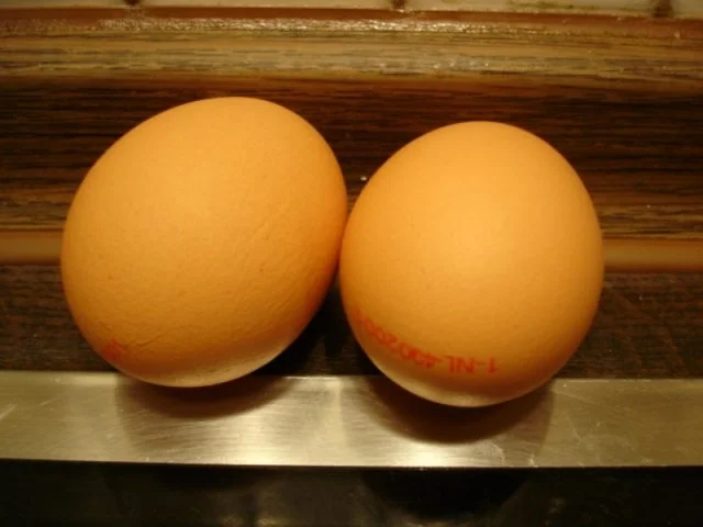 Brot mit gebratenem Leberkäse und Spiegelei - Rezept - Bild Nr. 4