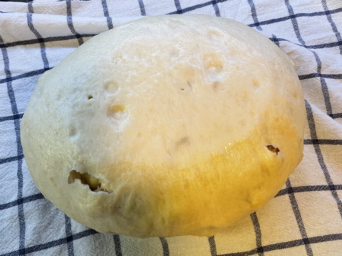 Semmelknödel oder Böhmischer Knödel - Rezept - Bild Nr. 13739