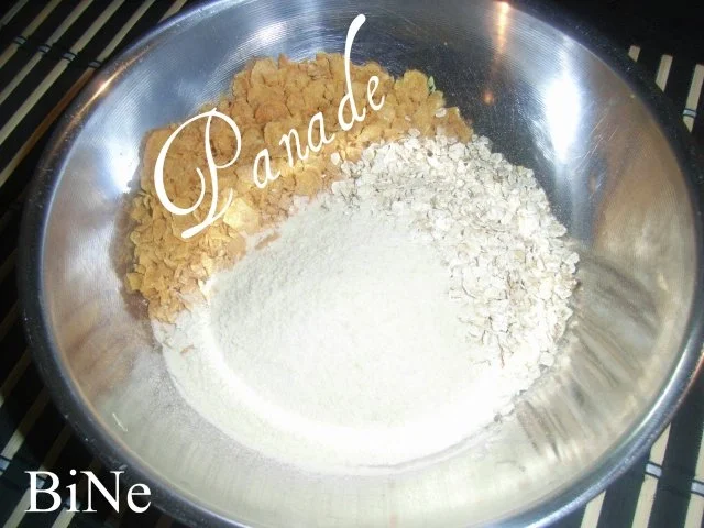 BiNe` S HÆHNCHEN SNACKS - Rezept - Bild Nr. 3